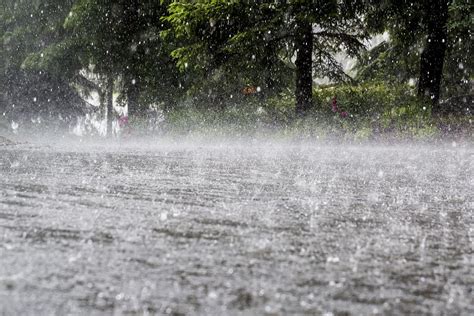 Northeast India Sees Heavy To Extremely Heavy Rainfall The Statesman
