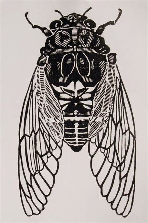 This Cicada Print By Christopherwassell On Etsy Is So Cool Insect Art Bug Art Linocut Prints