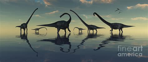 Giant Sauropod Dinosaurs Grazing Digital Art By Mark Stevenson Fine