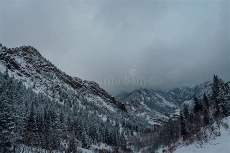 High Angle Shot Of A Spruce Forest In The Snowy Mountains Under The