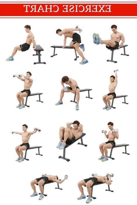 Image Result For Bench Workout Barbell Workout Dumbbell