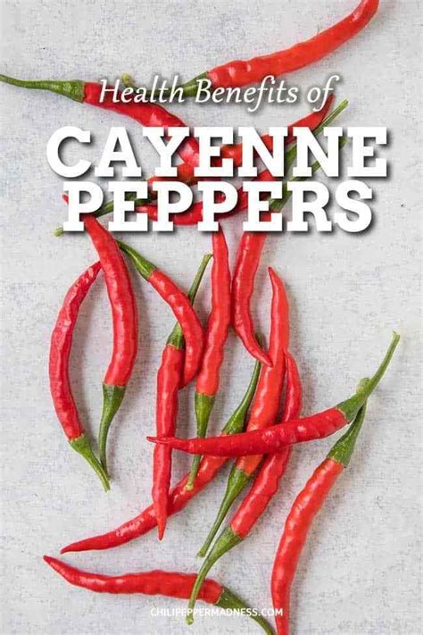 If you want to add a bit of spice to. Cayenne Pepper Benefits in 2020 | Cayenne pepper benefits ...