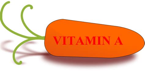 Manfaat Vitamin A Untuh Tubuh Manusia