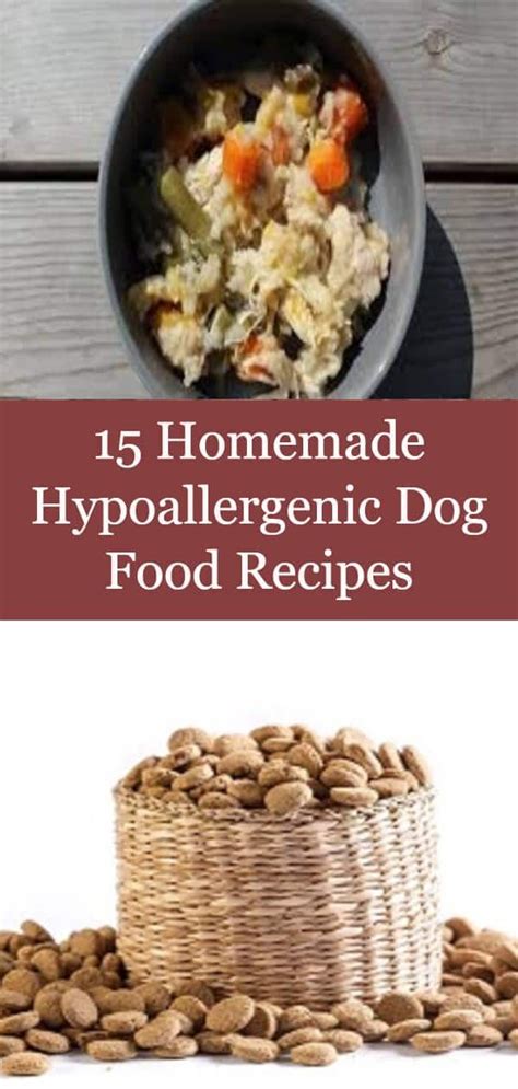Pin On Healthy Dog Food Recipes