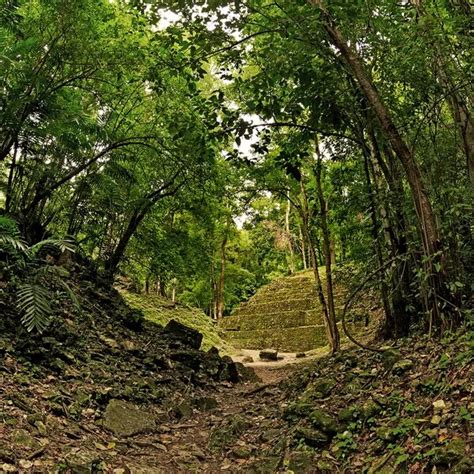Tiene 15 Años Y Descubrió Una Gran Ciudad Maya Oculta Durante Siglos