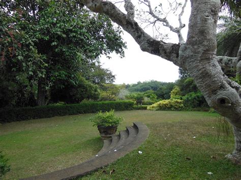 Brief Garden Sri Lanka Bewis Bawas Garden Travel Logs Palmtalk