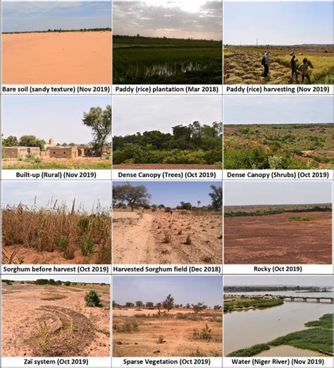 Pictures Of Different Land Use Classes Download Scientific Diagram