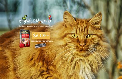 Free shipping on orders $49+ and the best customer service! Fussie Cat Food - Angel's Pet World - Pet Supplies