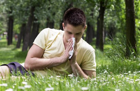 Pollen Allergy Symptoms And Causes Americas Best Care Plus