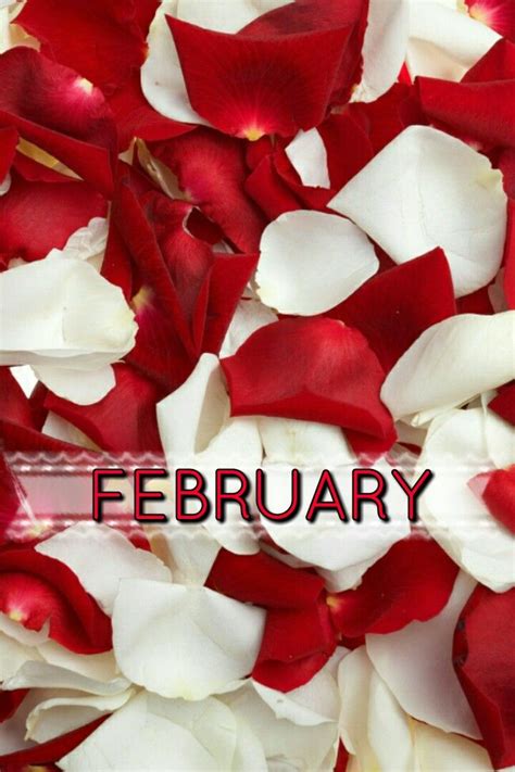 February Months In A Year Background Hd Wallpaper Colorful Backgrounds
