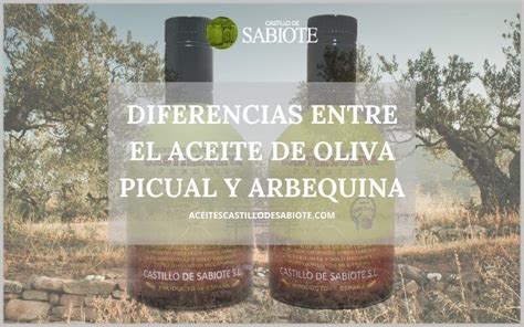 diferencias entre el aceite de oliva picual y arbequina