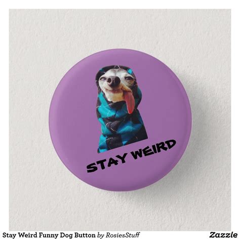 Funny Buttons Zappa Stay Weird Weird Pictures How To Make Buttons