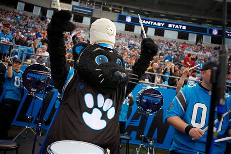 Sir Purr Joins Purrcussion Carolina Panthers Nc Panthers Panther Nation