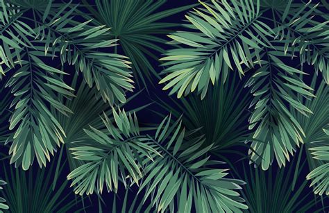 Green Tropical Wallpapers Top Free Green Tropical Backgrounds