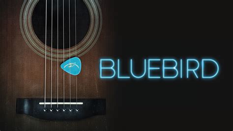 Bluebird Apple Tv