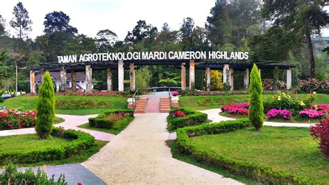 In fact, this spot has been known for having beautiful attractions, pleasant climate and a great spot to grow fruits and vegetables. 8 Tempat Menarik Di Cameron Highlands Yang Wajib Anda ...