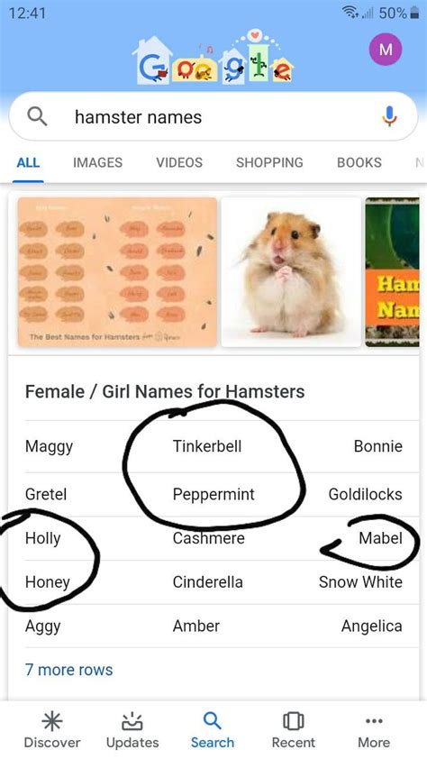 Unique Hamster Names Unique Business Name