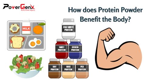 How Does Protein Powder Benefits The Body PowerGenx