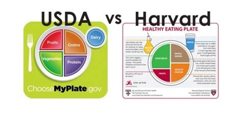 Harvard Versus Usda Whose Plate Wins Healthy Eating Plate