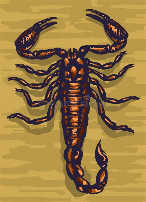 Scorpion Top View Illustration Stock Vector Illustration Of Animal