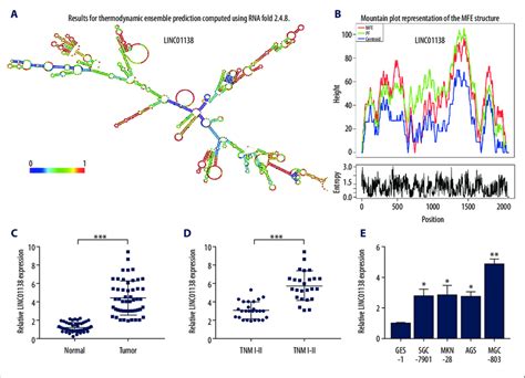 Linc Was Overexpressed In Gc Tissues And Cell Lines A Results