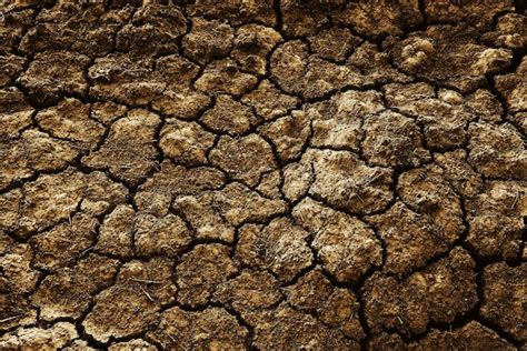 Premium Photo Texture Desert Drought Background Abstract Earth