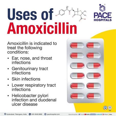 What Diseases Can Amoxicillin Cure A Comprehensive Guide
