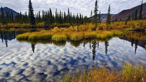 Beautiful Yukon Wallpaper Boreal Forest Landscape Photography Landscape