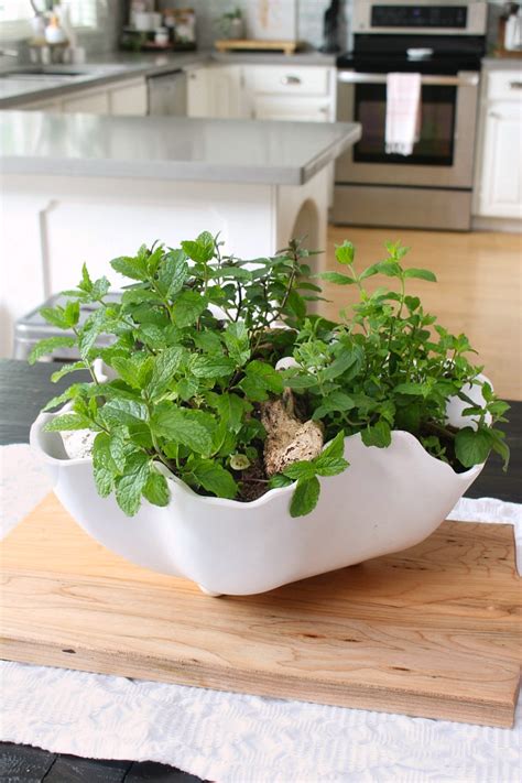 Herb Planter Centerpiece Clean And Scentsible