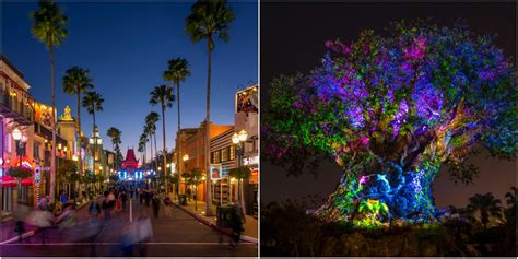 Disney After Hours Coming To Hollywood Studios Animal Kingdom