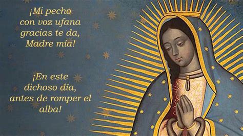 Top 22 Imagen Cantos Ala Virgen De Guadalupe Buenos Dias Paloma Blanca
