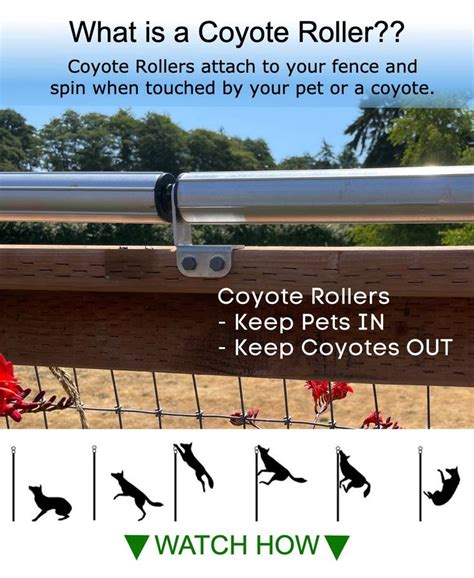 What Is A Coyote Roller Coyote Rollers Direct In 2022 Coyote