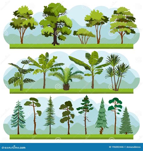 Set Of Three Types Of Forest Landscapes Stock Vector Illustration Of