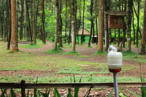 Cara membuat gambar di samping teks (berbaur) di ms word. Omah Akar : Cafe wisata atau hanya warung di tengah ...