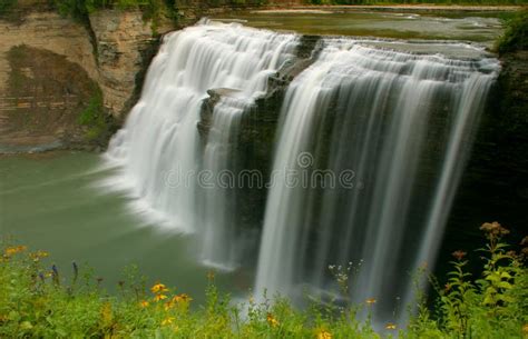 Waterfall Cascading Stock Photo Image Of Flowers Falling 231324