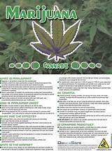 Marijuana Drug Category Images