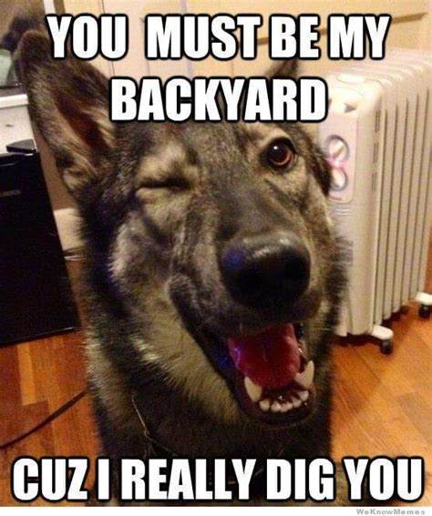 19 Animal Pick Up Lines Because Everything Else You Tried Failed