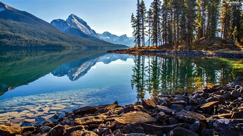 Forest Lake Mountains Beautiful Views Wallpapers