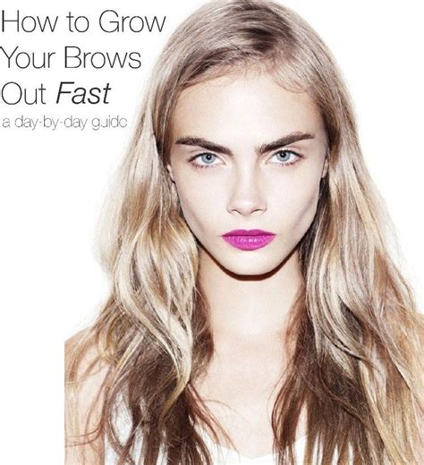 How To Grow Brows Out Fast A Day By Day Guide How To Grow Eyebrows