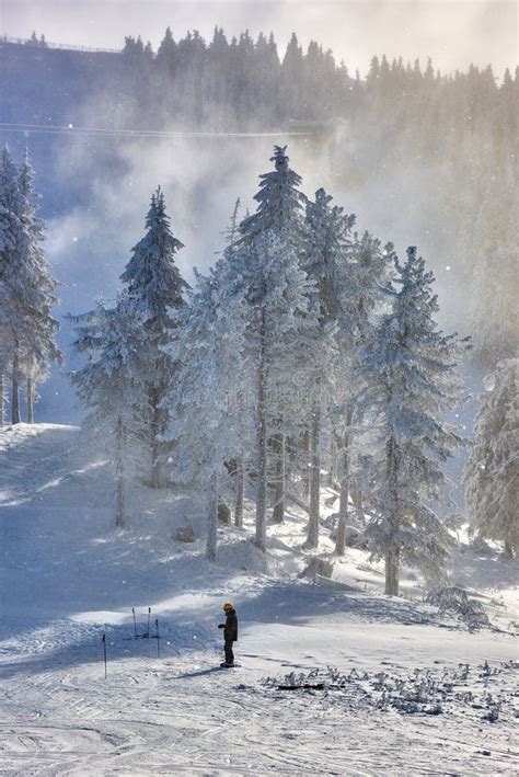 Spectacular Ski Slopes In The Carpathianspoiana Brasov Ski Resort