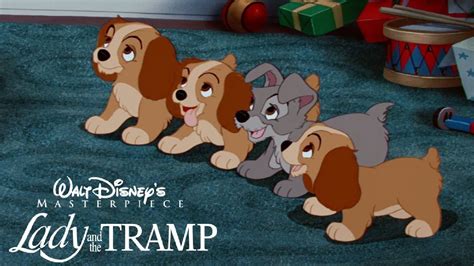 What Are Lady And The Tramps Puppies Called Disney Faq Youtube