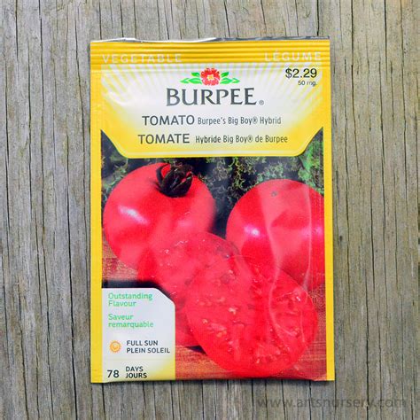 Burpees Big Boy Hybrid Tomato Seeds Arts Nursery Ltd