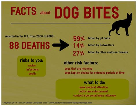 Facts About Dog Bites Infographic Dog Facts