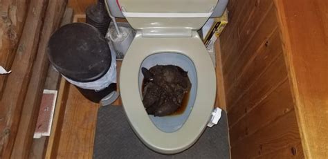 A Place To Post Nasty Toilets