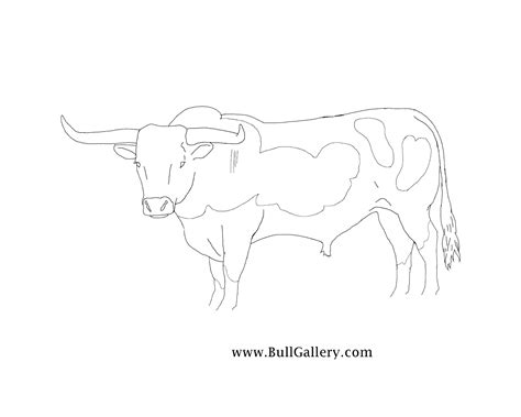 Get free printable rodeo coloring pages with rodeo events. Bull Pictures To Color Free - Bull Gallery