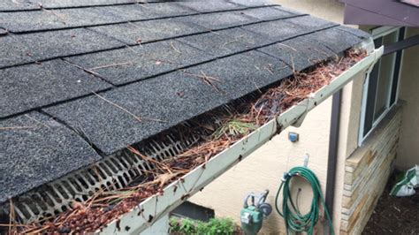 Roof Gutters Clogged Pine Needles Gutter Guard Fail Gutter Guards Direct