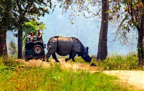 20 Tourist Destinations In Assam For An Unforgettable Vacation
