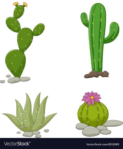 Collection Of Cactus Royalty Free Vector Image