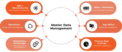 Master Data Management Swoon Consulting