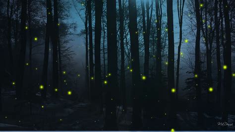 Pin By Marina Falezza On Fireflies And Ferns Night Landscape Firefly